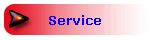 Service