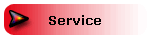 Service